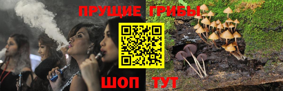 Псилоцибиновые грибы прущие грибы Нижний Тагил